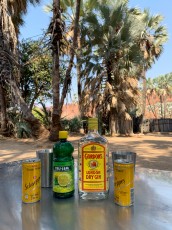 Gin Tonic ist das Getränk der Wahl