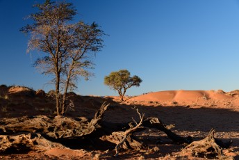 Sonneuntergang in Family Hideout