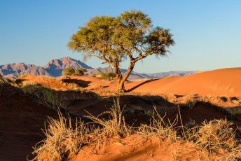 Abendfahrt in Family Hideout