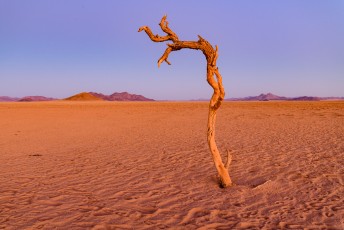 Blaue Stunde in Family Hideout
