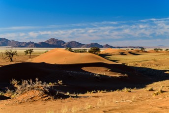 Dünen im Morgenlicht