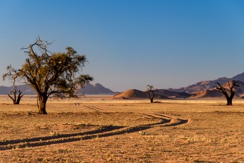 Abendliche Rundfahrt