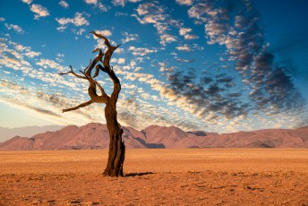 Abendstimmung in Kanaan