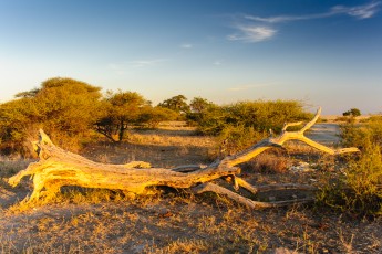 Ankunft in Kubu Island