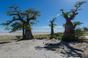 Makgadikgadi Pans