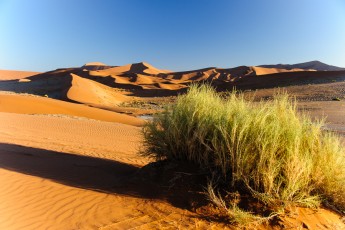 Sanddünen in Sossusvlei