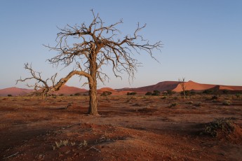 Abend in Sossusvlei