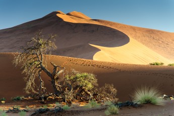 Sanddünen in Sossusvlei