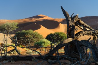 Sossusvlei-Landschaft