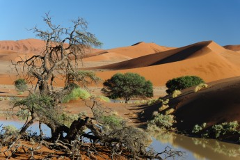 Sossusvlei unter Wasser