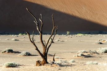 Hidden Vlei