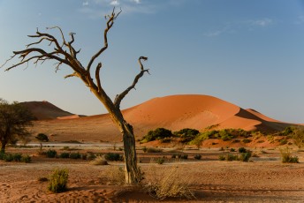 Sossuvlei