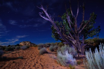 Lichtmalen auf dem Weg vom Camping zum Kessel